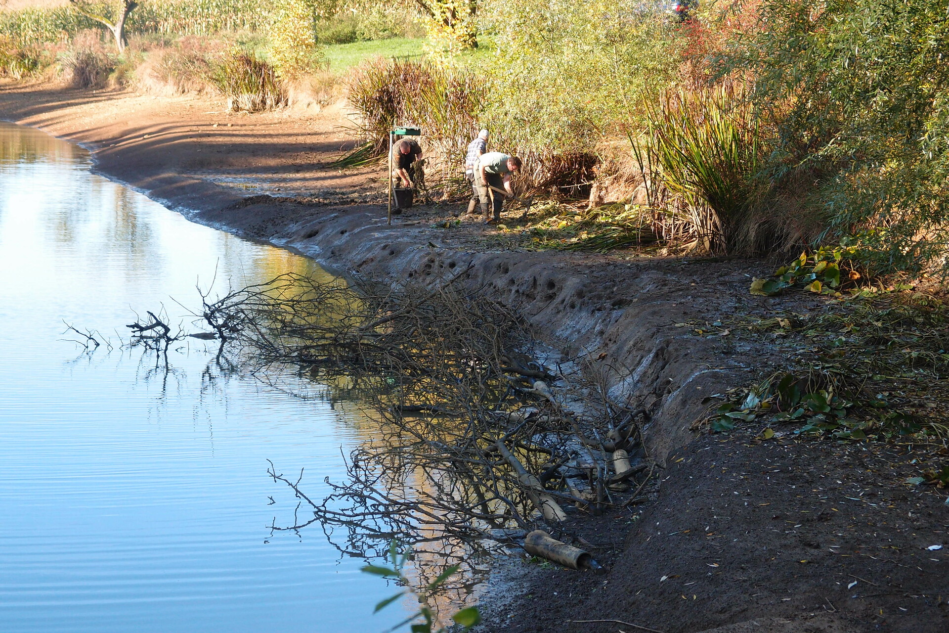 Galeriebild: PA183108